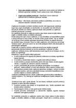 Referāts 'Uzņēmējdarbības būtība, mērķi, finansēšanas avoti, investīcijas, rādītāji', 26.