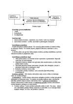 Referāts 'Uzņēmējdarbības būtība, mērķi, finansēšanas avoti, investīcijas, rādītāji', 29.