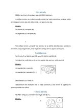 Referāts 'Siloģismi', 5.