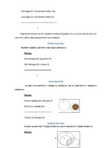 Referāts 'Siloģismi', 6.