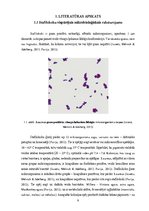 Diplomdarbs 'Staphylococcus aureus. Rezistence pret antimikrobajām vielām', 9.