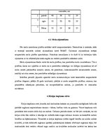 Referāts 'Meža apsaimniekošanas plāns', 17.