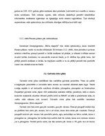 Referāts 'Meža apsaimniekošanas plāns', 21.