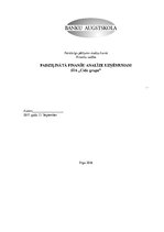 Referāts 'Padziļināta finanšu analīze uzņēmumam', 1.