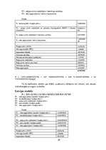 Referāts 'Padziļināta finanšu analīze uzņēmumam', 20.