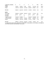 Referāts 'Padziļināta finanšu analīze uzņēmumam', 23.