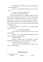 Biznesa plāns 'Biznesa plāns', 7.