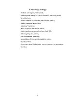 Biznesa plāns 'Biznesa plāns', 9.