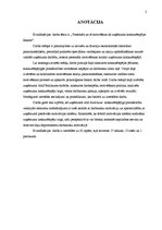 Diplomdarbs 'Personāla motivēšana kā akciju apdrošināšanas sabiedrību konkurētspējas faktors', 2.