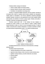 Diplomdarbs 'Personāla motivēšana kā akciju apdrošināšanas sabiedrību konkurētspējas faktors', 12.