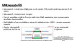 Prezentācija 'Mikrosatelīti - molekulārie marķieri', 3.
