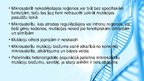 Prezentācija 'Mikrosatelīti - molekulārie marķieri', 4.