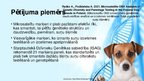 Prezentācija 'Mikrosatelīti - molekulārie marķieri', 8.