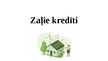 Prezentācija 'Zaļie kredīti', 1.