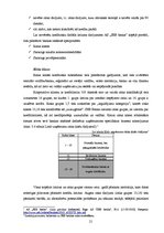 Prakses atskaite 'Prakse AS "SEB banka"', 21.