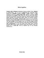 Referāts 'Rumānija', 7.