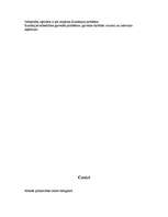 Referāts 'Rumānija', 13.