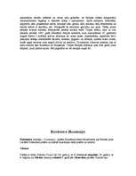 Referāts 'Rumānija', 22.