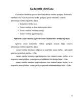 Referāts 'Zemes gabala sadalīšana individuālajai apbūvei', 12.