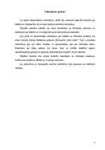 Referāts 'Ūdens āderes', 4.