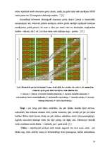 Referāts 'Ūdens āderes', 18.