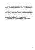 Prakses atskaite 'Mārketinga prakse Šlokenbekas muižā', 7.