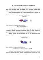 Prakses atskaite 'Mārketinga prakse Šlokenbekas muižā', 28.