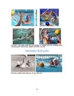 Referāts 'Ūdenspolo', 10.