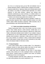 Referāts 'Avīze kā iekšējās komunikācijas instruments transporta pakalpojumu uzņēmumā', 17.