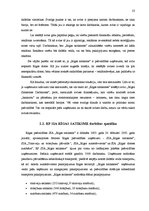 Referāts 'Avīze kā iekšējās komunikācijas instruments transporta pakalpojumu uzņēmumā', 23.