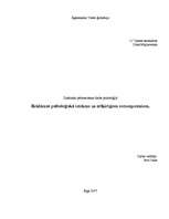 Referāts 'Reklāmas psiholoģiskā ietekme uz atšķirīgiem vecumposmiem', 1.