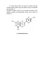 Referāts 'Augu bioloģiski aktīvo vielu grupas', 9.