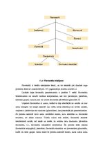 Referāts 'Augu bioloģiski aktīvo vielu grupas', 10.