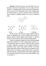 Referāts 'Augu bioloģiski aktīvo vielu grupas', 13.
