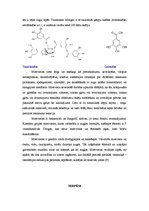 Referāts 'Augu bioloģiski aktīvo vielu grupas', 15.