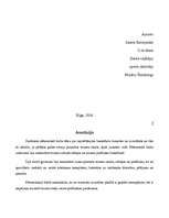 Referāts 'Izplatītākās basketbola traumas un izvairīšanās no tām', 7.