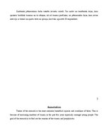 Referāts 'Izplatītākās basketbola traumas un izvairīšanās no tām', 8.