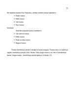 Referāts 'Izplatītākās basketbola traumas un izvairīšanās no tām', 28.