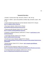 Referāts 'Izplatītākās basketbola traumas un izvairīšanās no tām', 37.