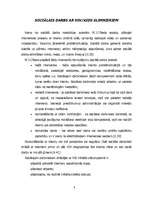 Referāts 'Sociālais darbs ar HIV/AIDS slimniekiem', 8.