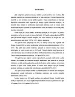 Eseja 'Eiro ieviešanas gaita Latvijā', 5.