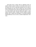 Eseja 'Eiro ieviešanas gaita Latvijā', 10.