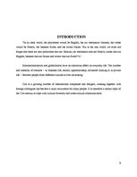 Referāts 'Cross Cultural Communication', 3.