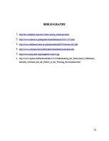 Referāts 'Cross Cultural Communication', 13.