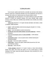 Referāts 'Zobu pastas ietekme uz mutes dobumu', 7.