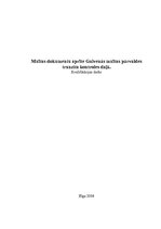 Referāts 'Muitas dokumentu aprite', 1.