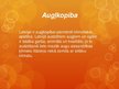 Prezentācija 'Augkopība', 2.