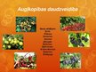 Prezentācija 'Augkopība', 3.