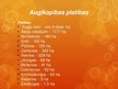 Prezentācija 'Augkopība', 4.