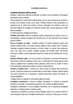 Konspekts 'Stratēģiskā plānošana', 1.